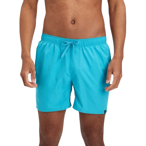 Firefly Ken Swimming Short For Men, Turquoise