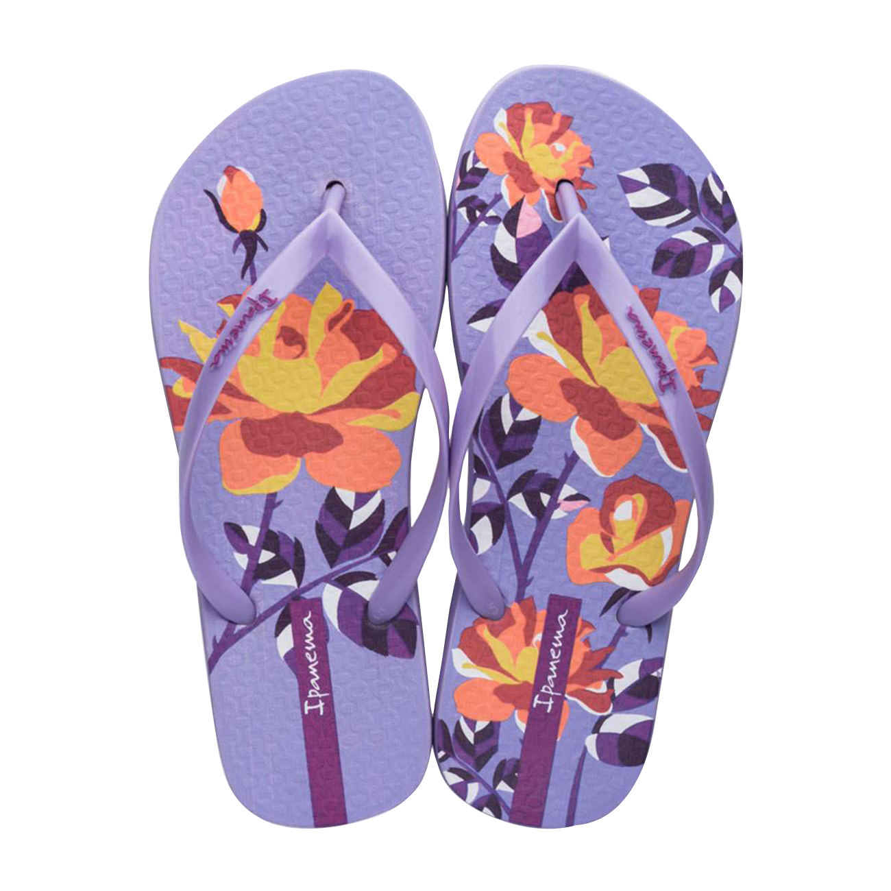 ايبانيما سيم ايجوال شبشب نسائي