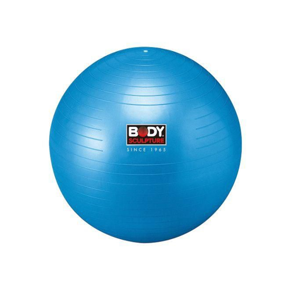 Gym Ball - Swiss Ball (76cm) Unisex