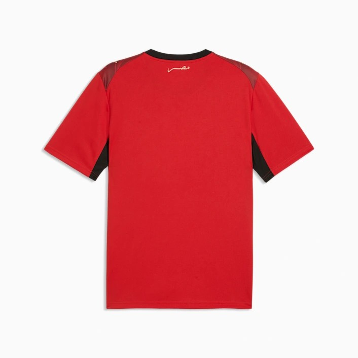Puma Egypt Home Jersey 2026 For Men, Red