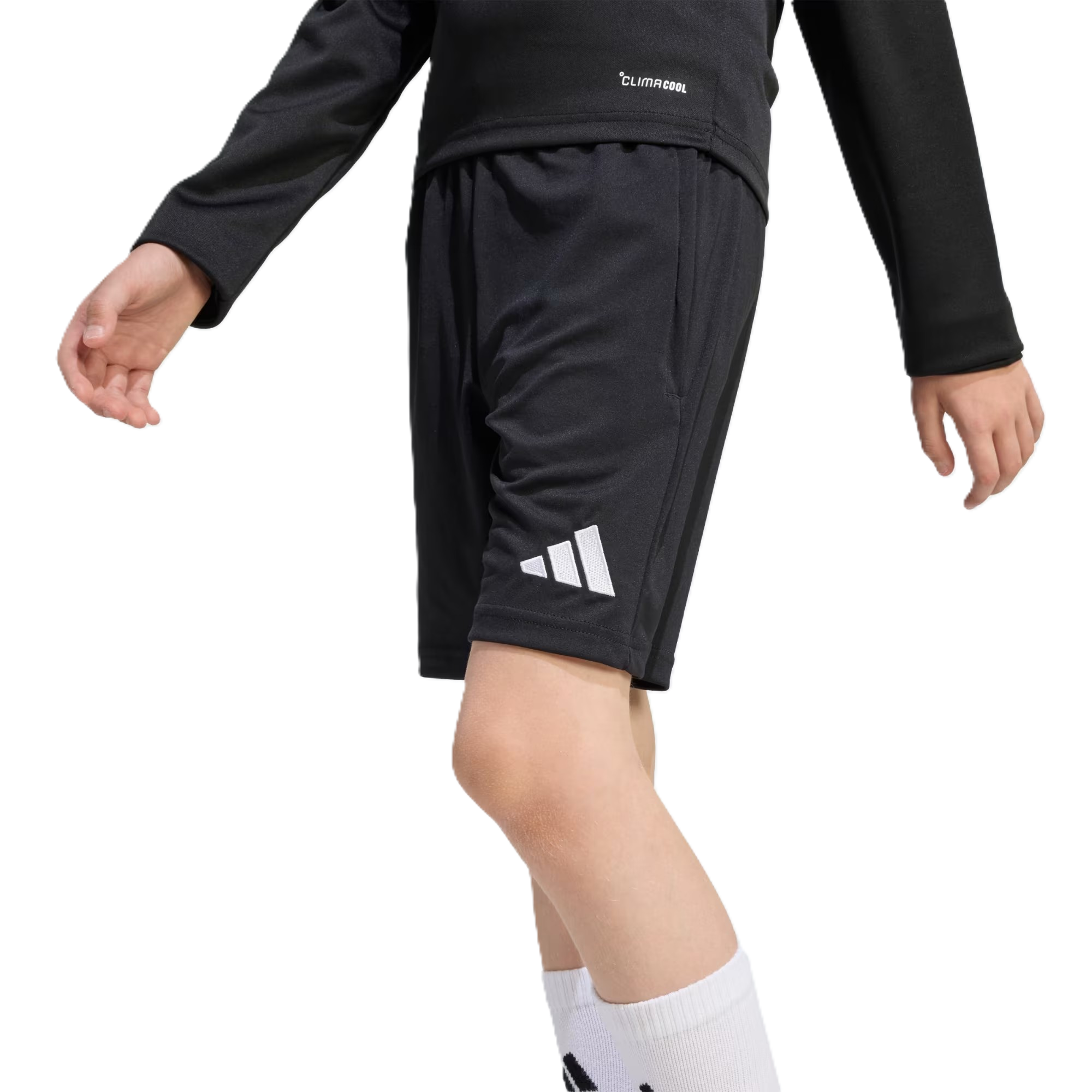 Adidas Ent26 Tr Shoy Football Short For Boys