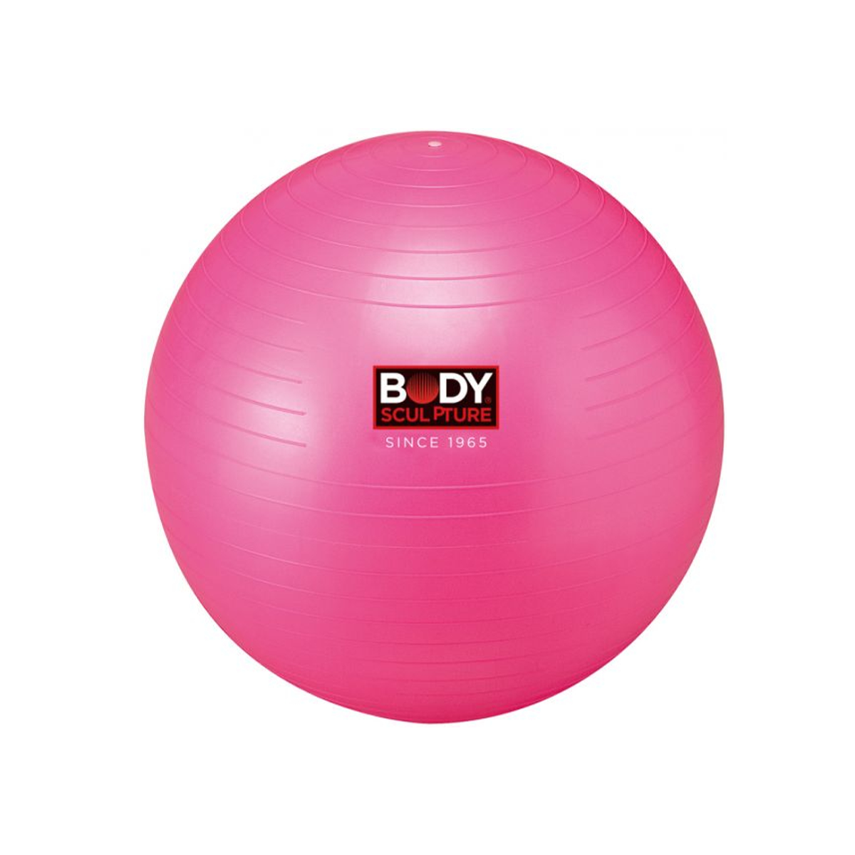Gym Ball - Swiss Ball (56cm) Unisex